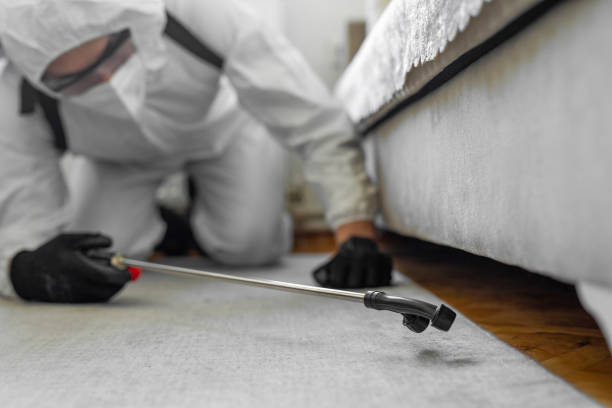 Professional Pest Control technician working in Whatcom County County, WA